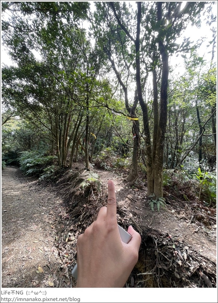 爬山_210315_137.jpg 爬山_210315_137.jpg