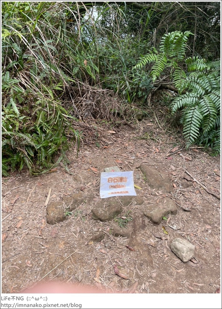 爬山_210315_141.jpg 爬山_210315_141.jpg