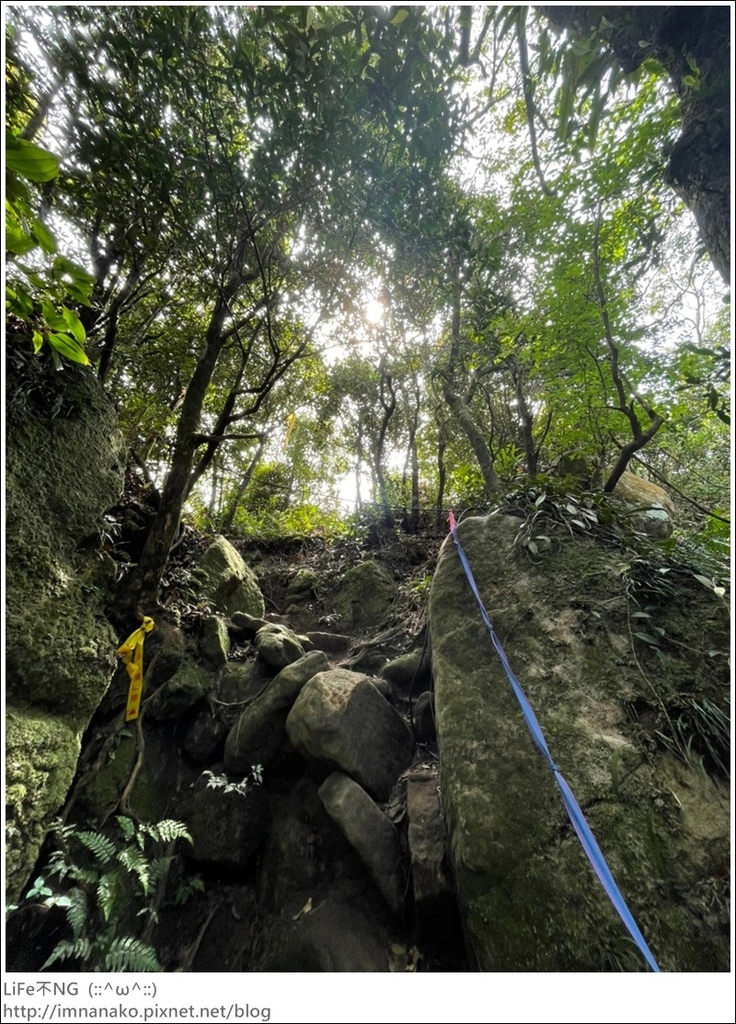 爬山_210315_142.jpg 爬山_210315_142.jpg