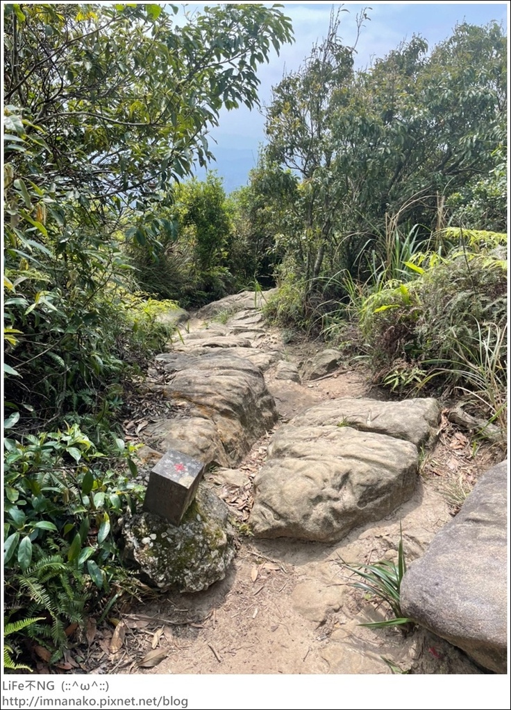 爬山_210315_144.jpg 爬山_210315_144.jpg