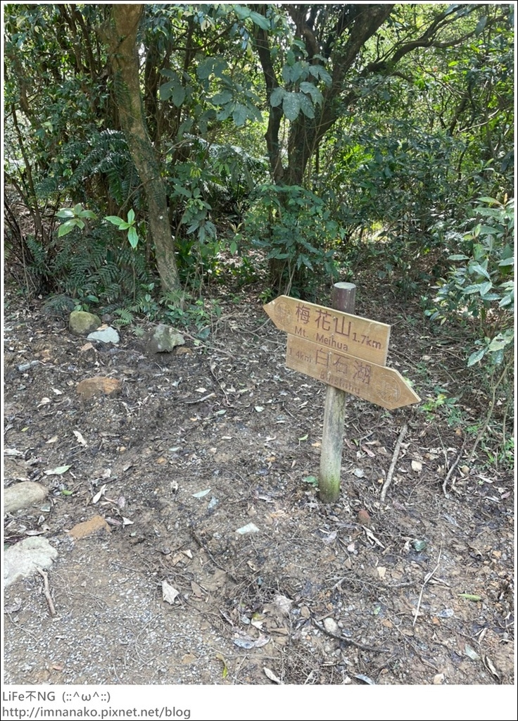 爬山_210315_136.jpg 爬山_210315_136.jpg