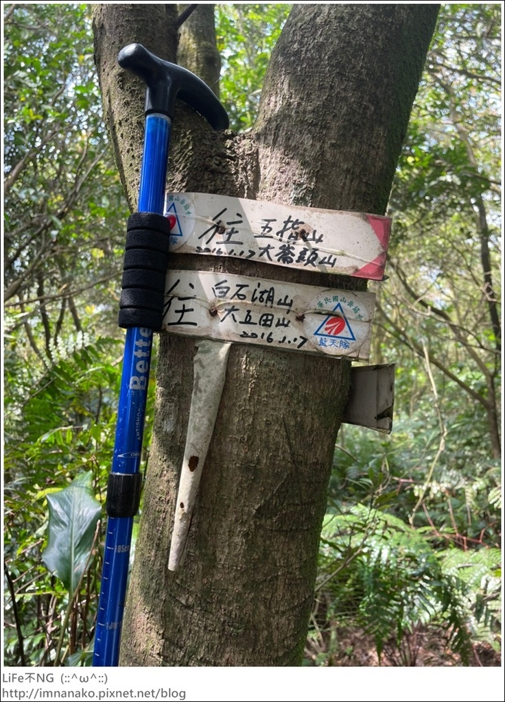 爬山_210315_140.jpg 爬山_210315_140.jpg