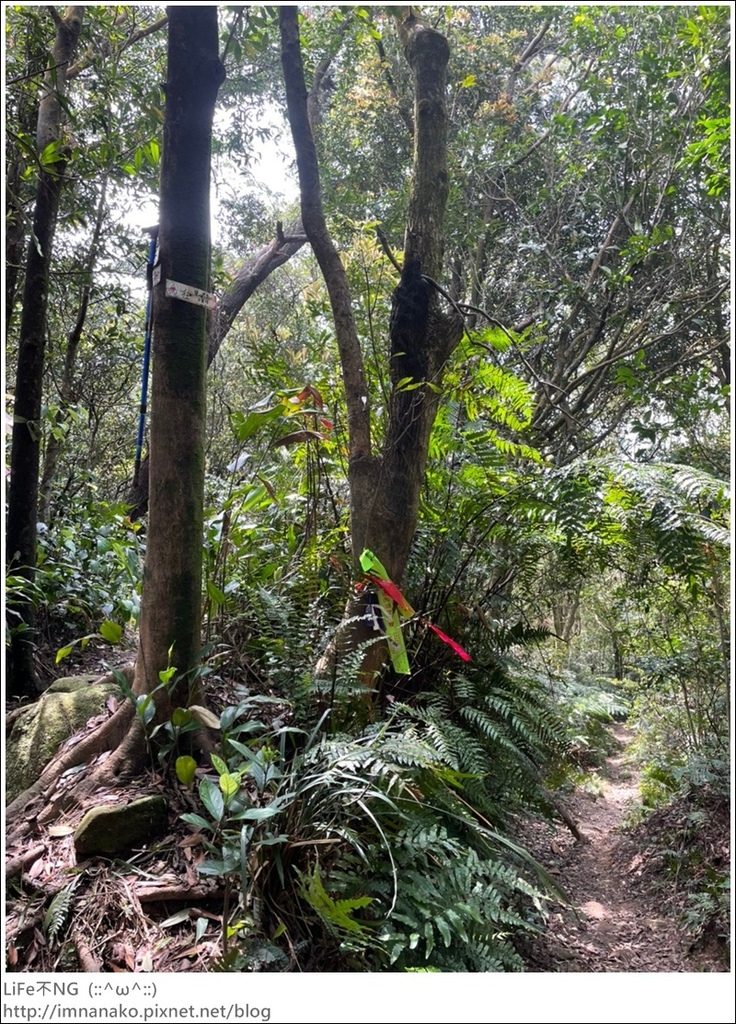 爬山_210315_139.jpg 爬山_210315_139.jpg