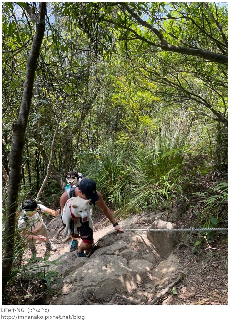 爬山_210315_151.jpg 爬山_210315_151.jpg