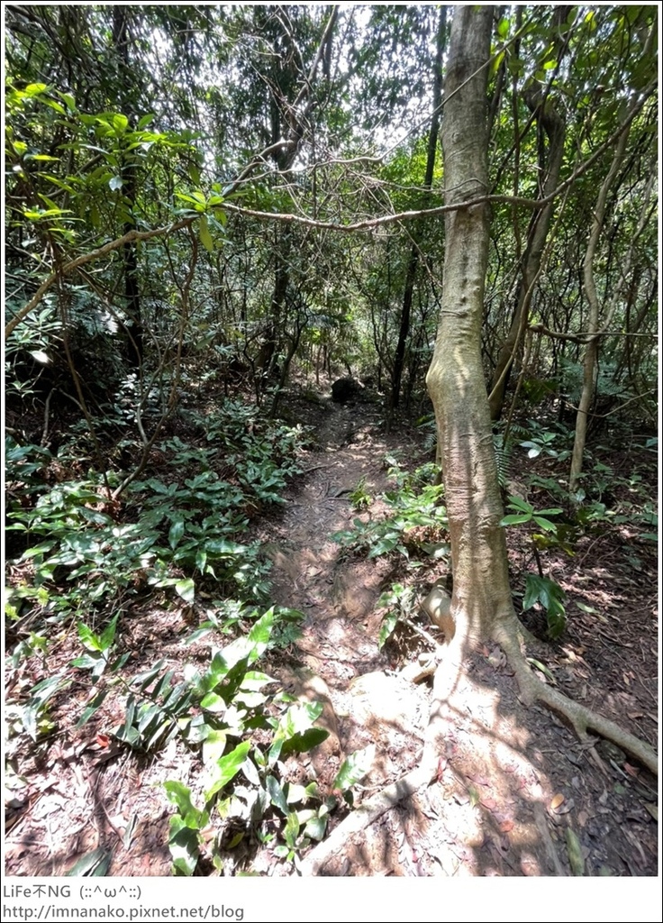 爬山_210315_152.jpg 爬山_210315_152.jpg