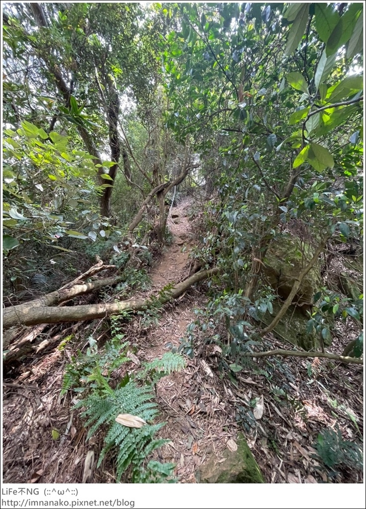 爬山_210315_156.jpg 爬山_210315_156.jpg