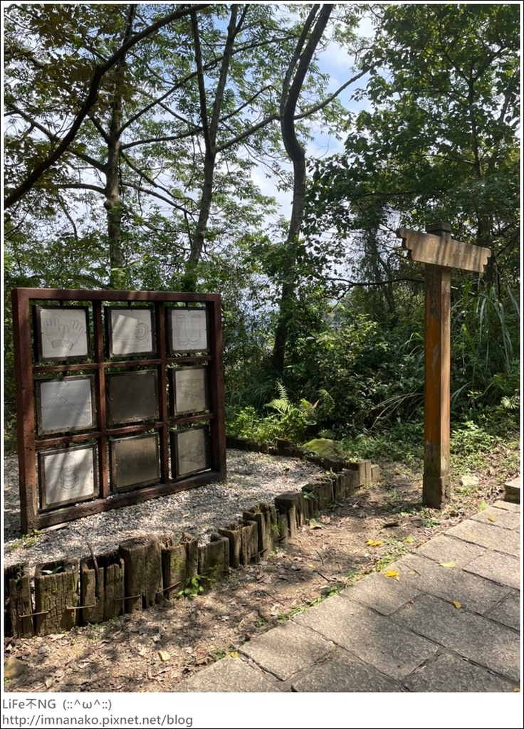 爬山_210315_155.jpg 爬山_210315_155.jpg