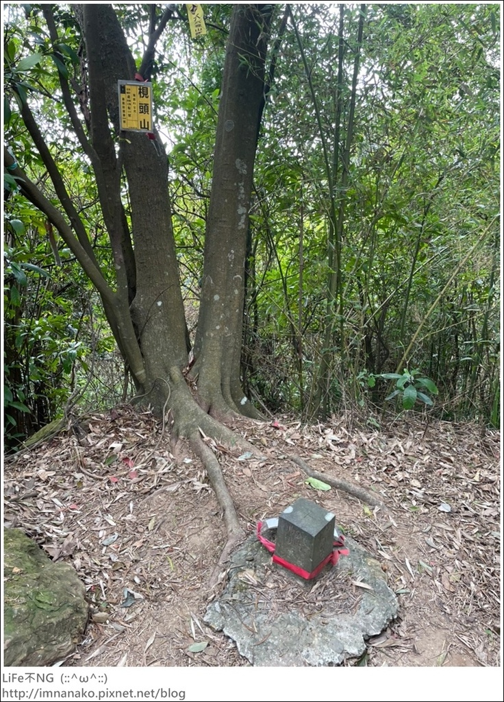 爬山_210315_158.jpg 爬山_210315_158.jpg