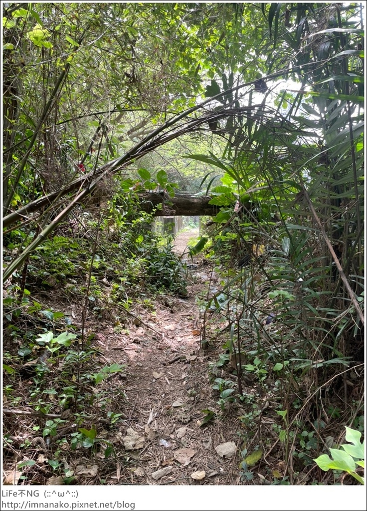 爬山_210315_159.jpg 爬山_210315_159.jpg