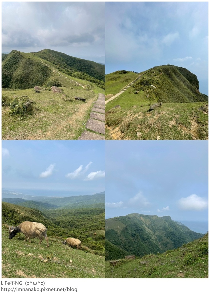 草嶺古道_210322_55-tile.jpg