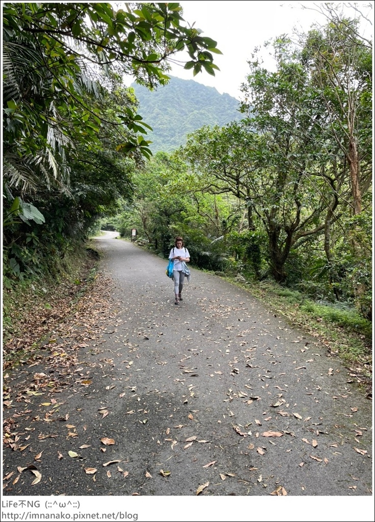 草嶺古道_210322_74.jpg