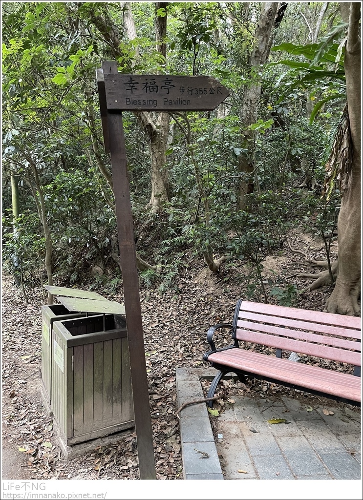 [新竹景點]搭火車去爬山。15分鐘攻頂的小百岳－十八尖山步道