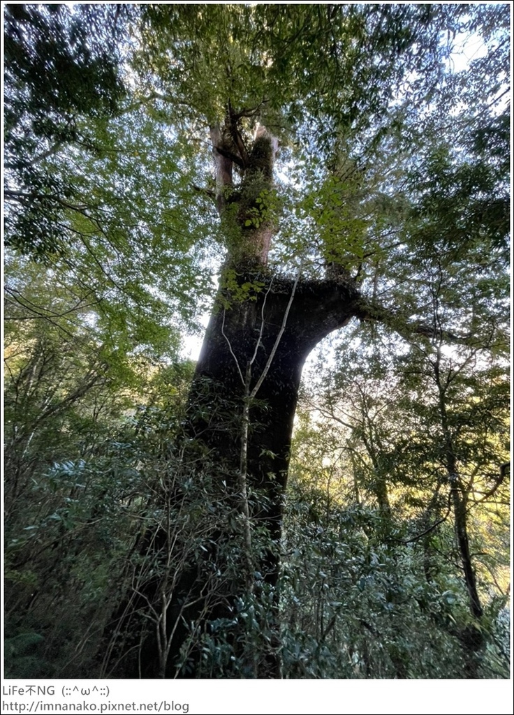 1204_211206_22.jpg 1204_211206_22.jpg