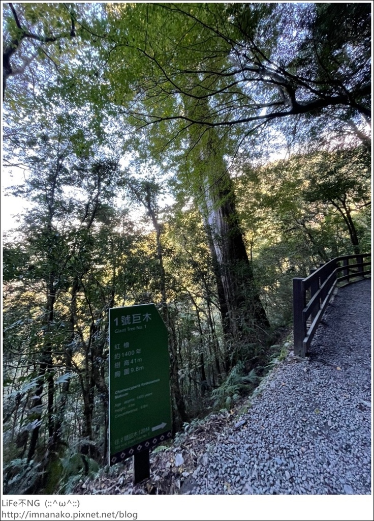 1204_211206_19.jpg 1204_211206_19.jpg