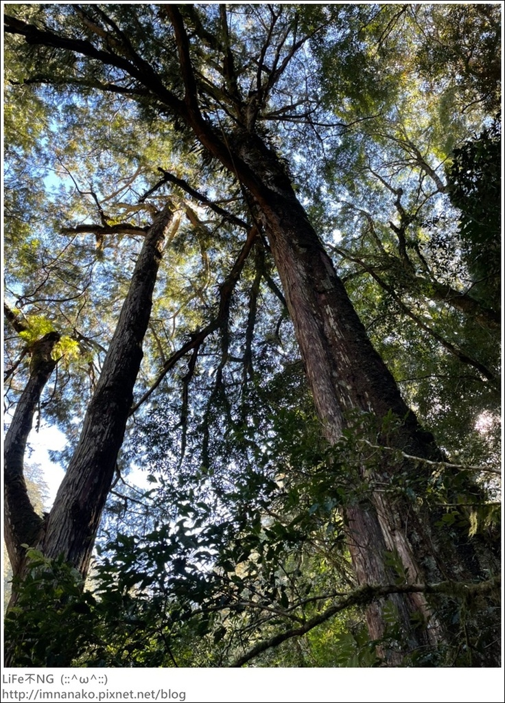 1204_211206_28.jpg 1204_211206_28.jpg