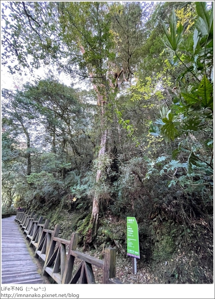 1204_211206_24.jpg 1204_211206_24.jpg