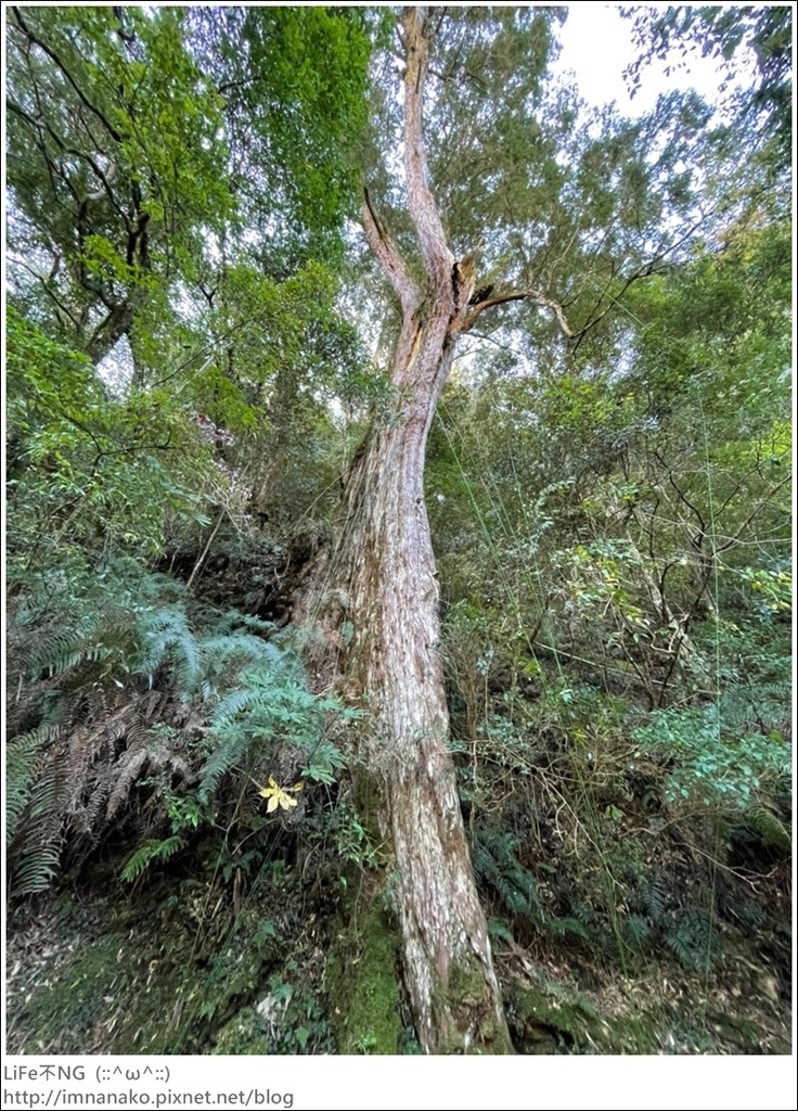 1204_211206_27.jpg 1204_211206_27.jpg