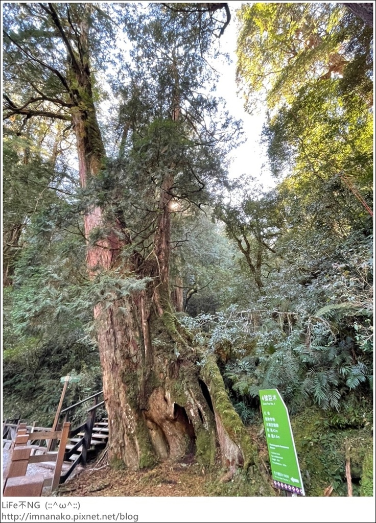 1204_211206_36.jpg 1204_211206_36.jpg