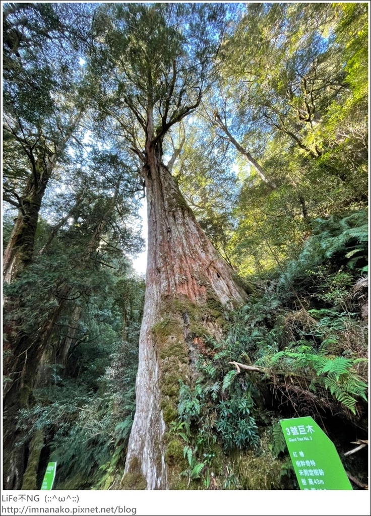 1204_211206_35.jpg 1204_211206_35.jpg