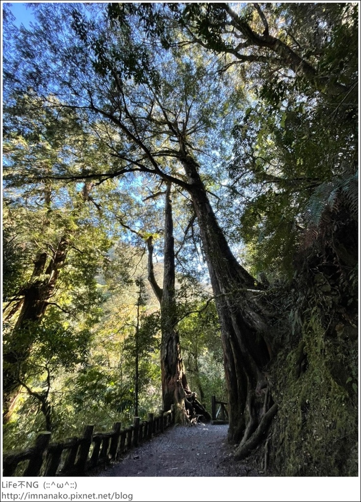 1204_211206_30.jpg 1204_211206_30.jpg