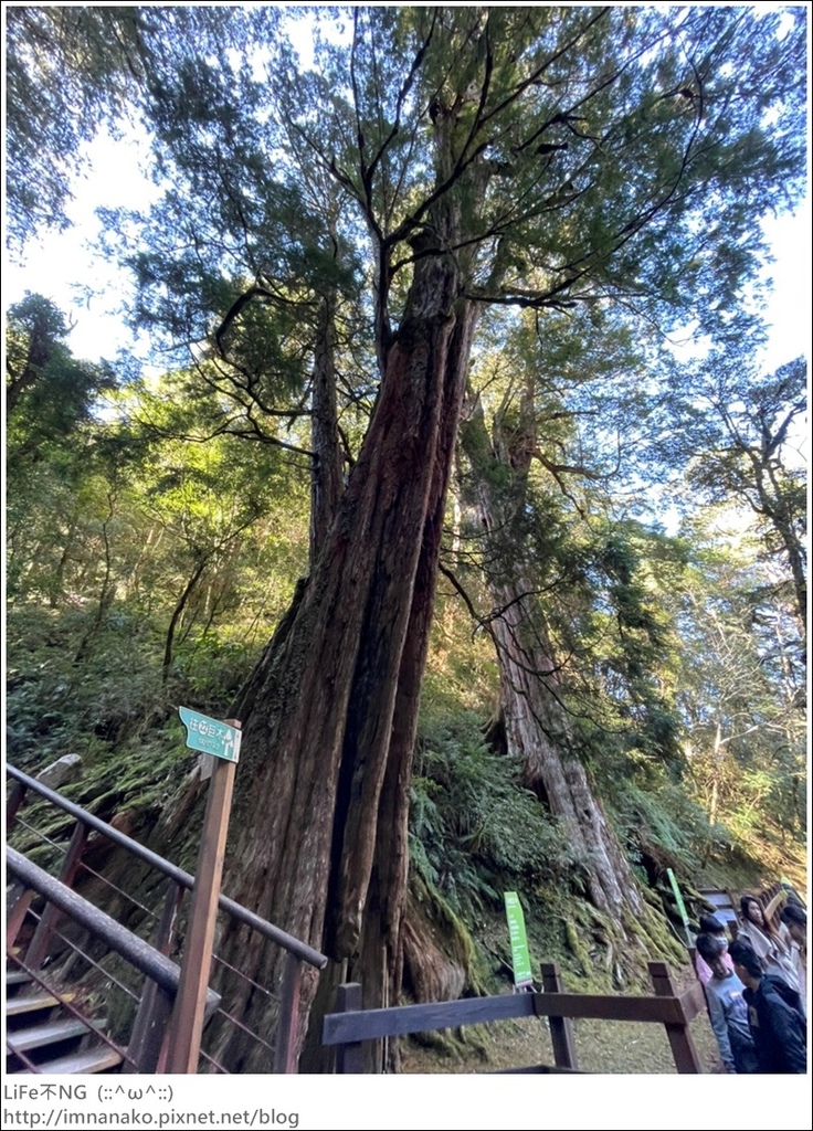 1204_211206_37.jpg 1204_211206_37.jpg