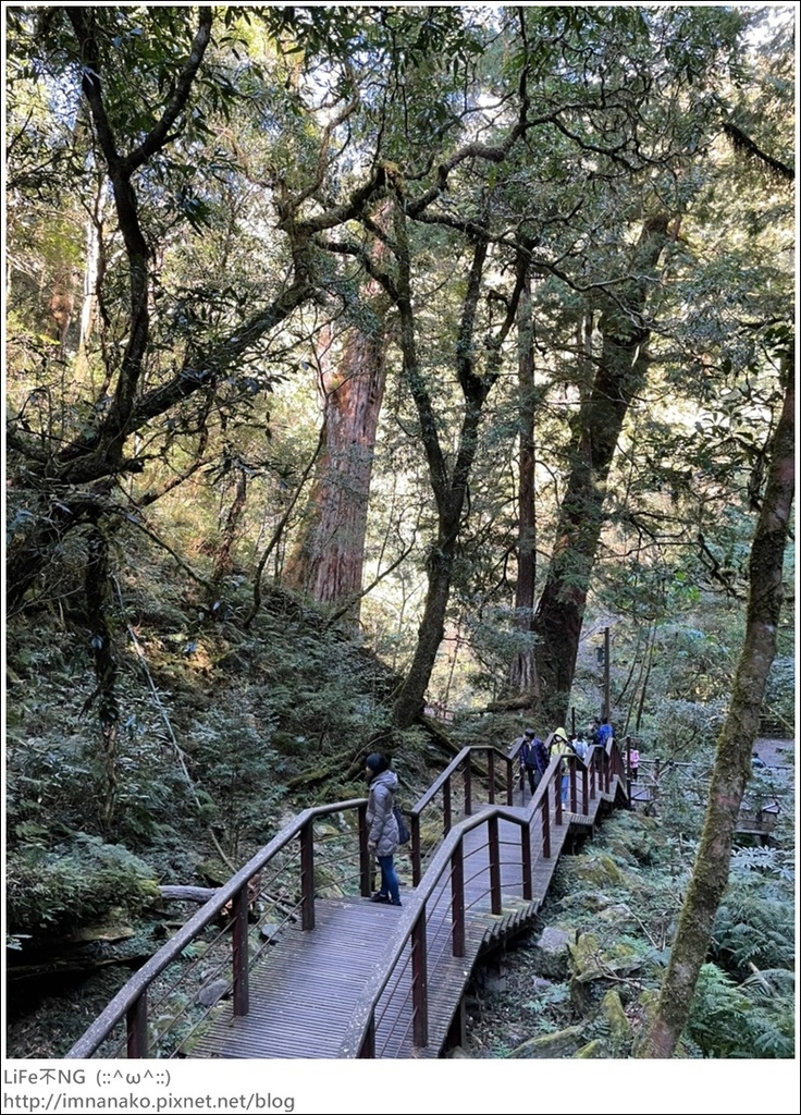 1204_211206_41.jpg 1204_211206_41.jpg