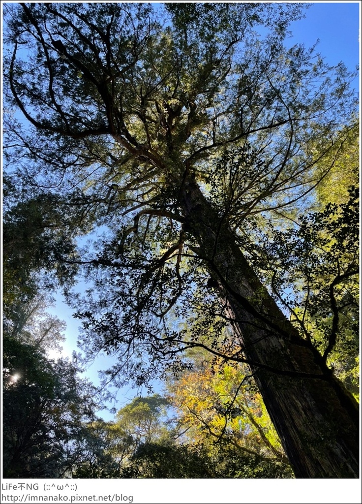 1204_211206_43.jpg 1204_211206_43.jpg