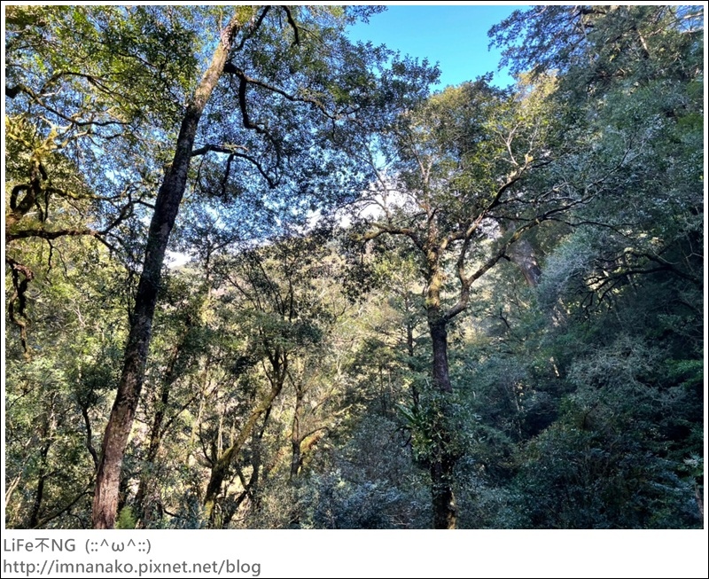 1204_211206_45.jpg 1204_211206_45.jpg