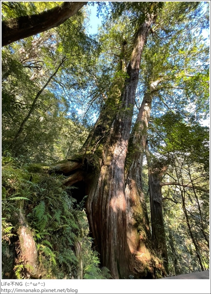 1204_211206_47.jpg 1204_211206_47.jpg