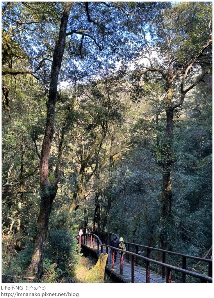 1204_211206_46.jpg 1204_211206_46.jpg