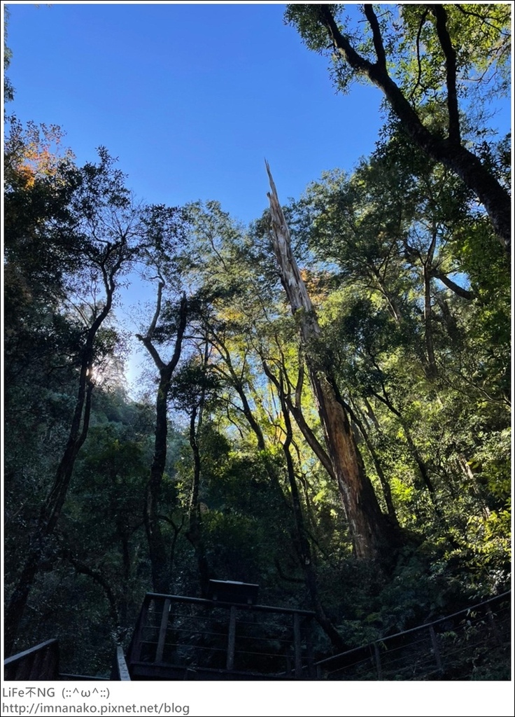 1204_211206_44.jpg 1204_211206_44.jpg