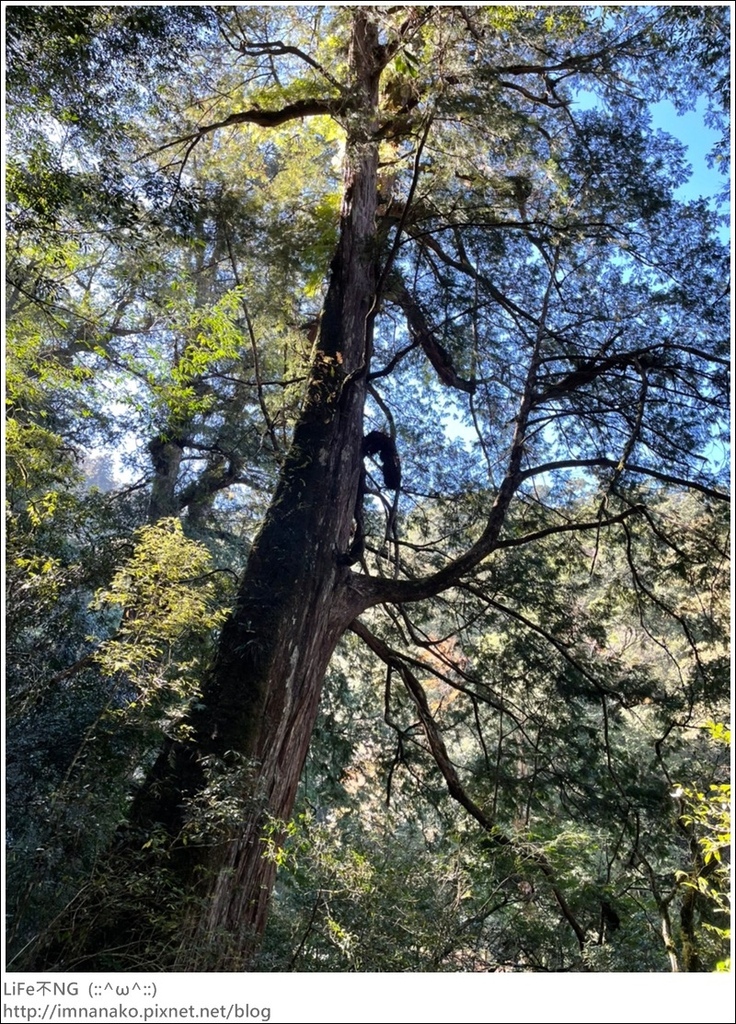 1204_211206_67.jpg 1204_211206_67.jpg