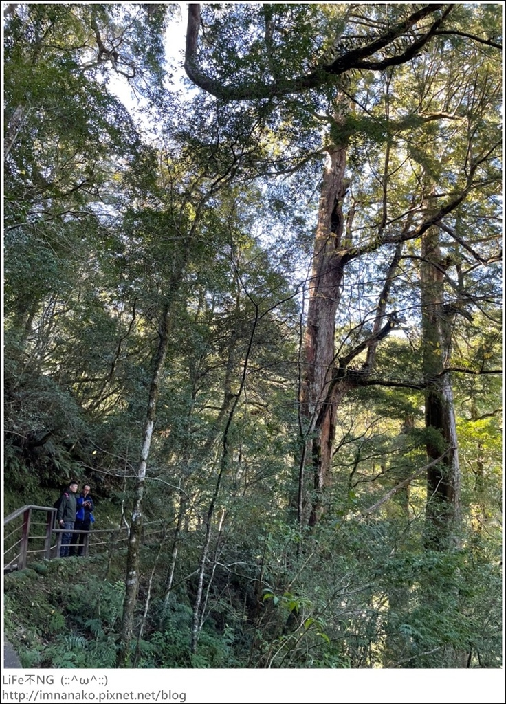 1204_211206_68.jpg 1204_211206_68.jpg