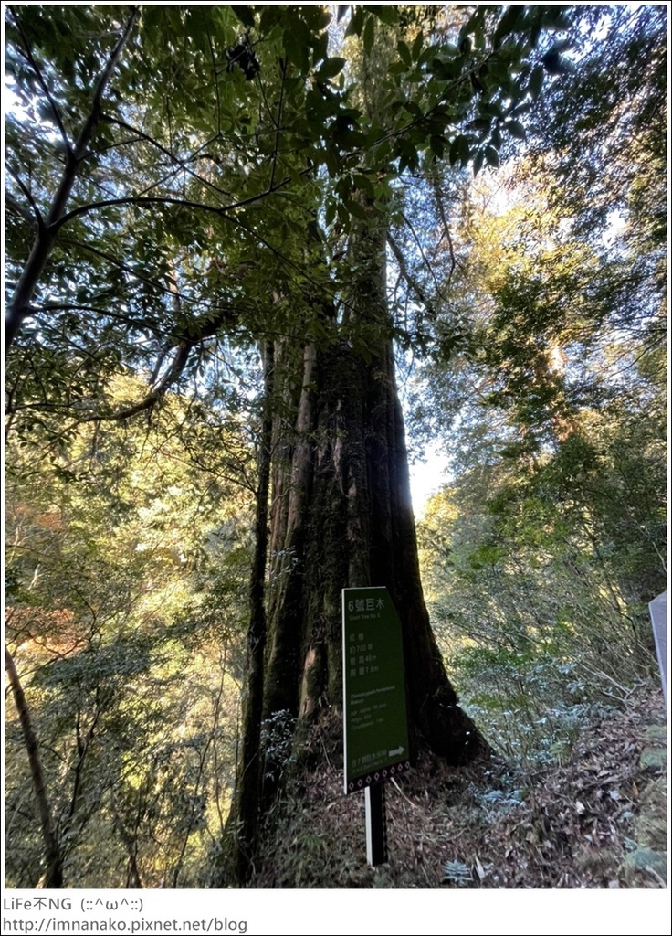 1204_211206_66.jpg 1204_211206_66.jpg