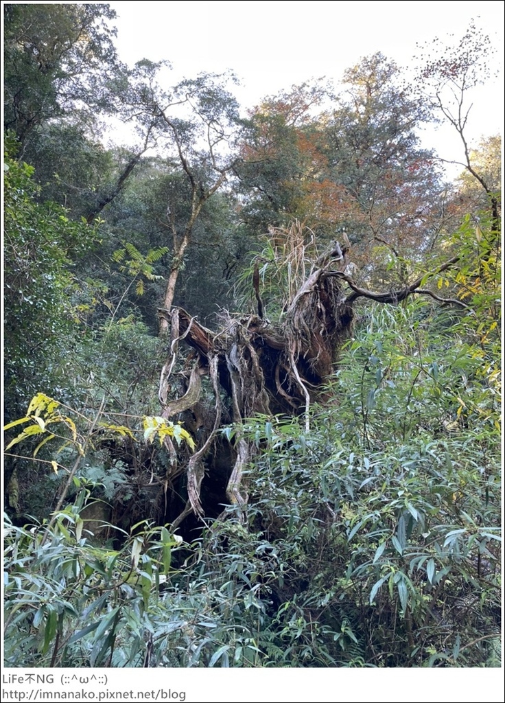 1204_211206_64.jpg 1204_211206_64.jpg