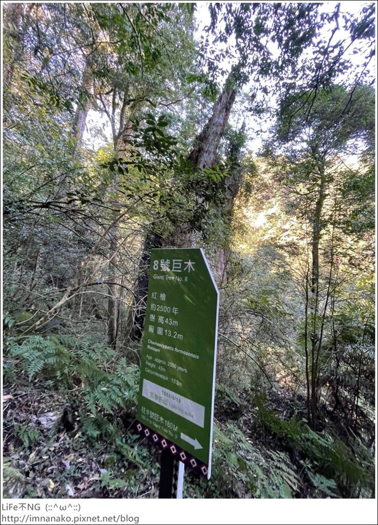 1204_211206_69.jpg 1204_211206_69.jpg