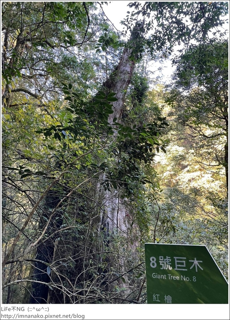 1204_211206_70.jpg 1204_211206_70.jpg