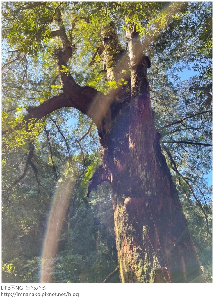 1204_211206_82.jpg 1204_211206_82.jpg