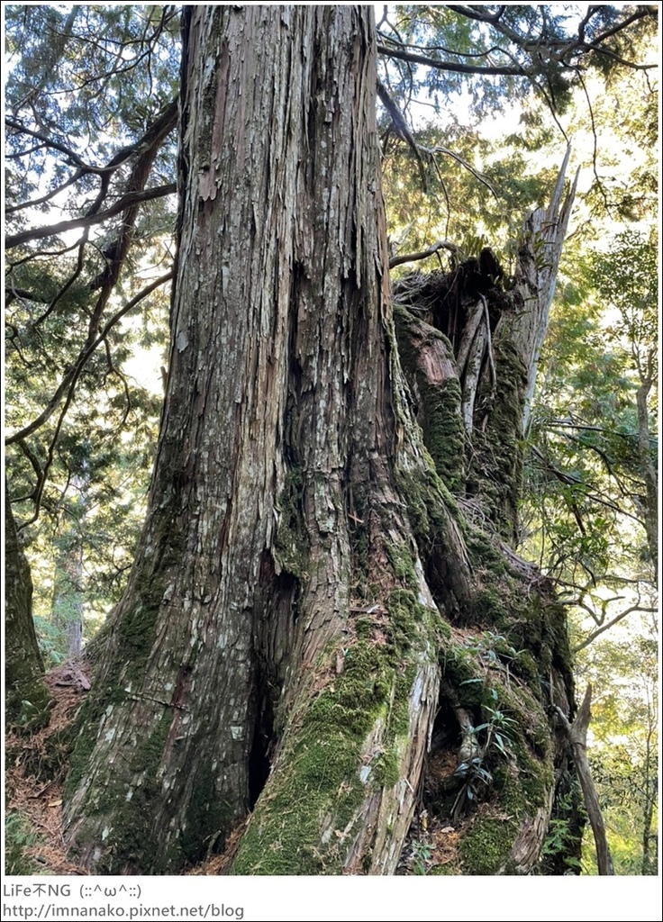 1204_211206_74.jpg 1204_211206_74.jpg