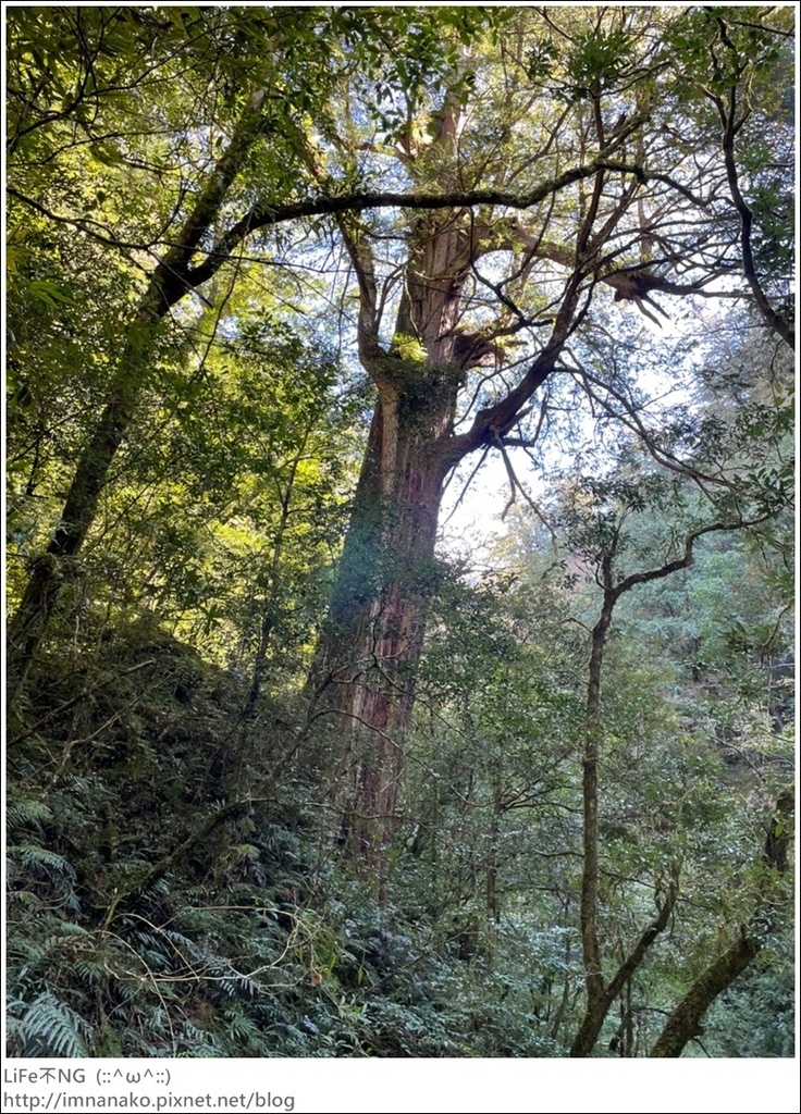 1204_211206_80.jpg 1204_211206_80.jpg