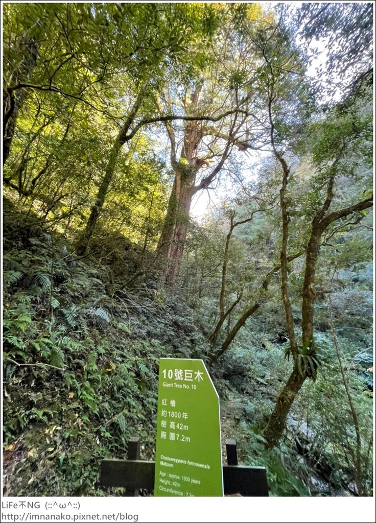 1204_211206_81.jpg 1204_211206_81.jpg