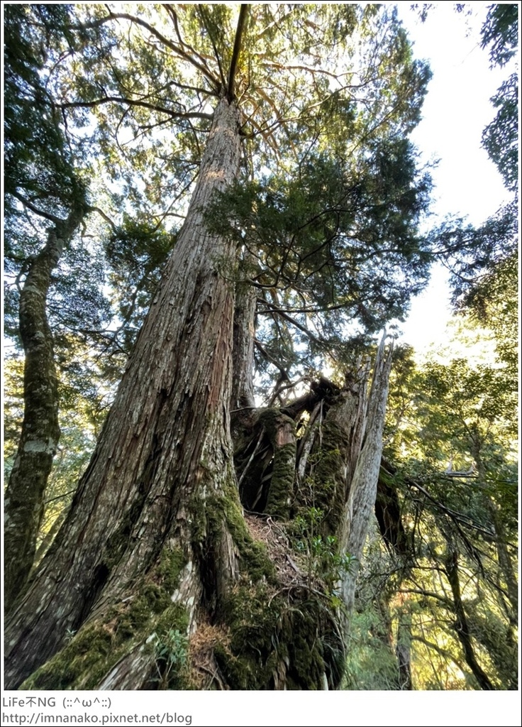 1204_211206_76.jpg 1204_211206_76.jpg