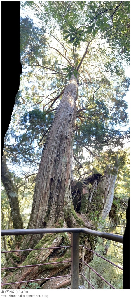 1204_211206_77.jpg 1204_211206_77.jpg