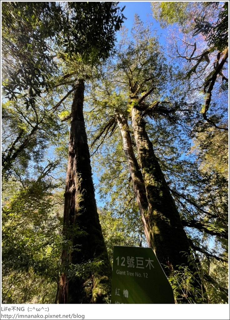 1204_211206_87.jpg 1204_211206_87.jpg