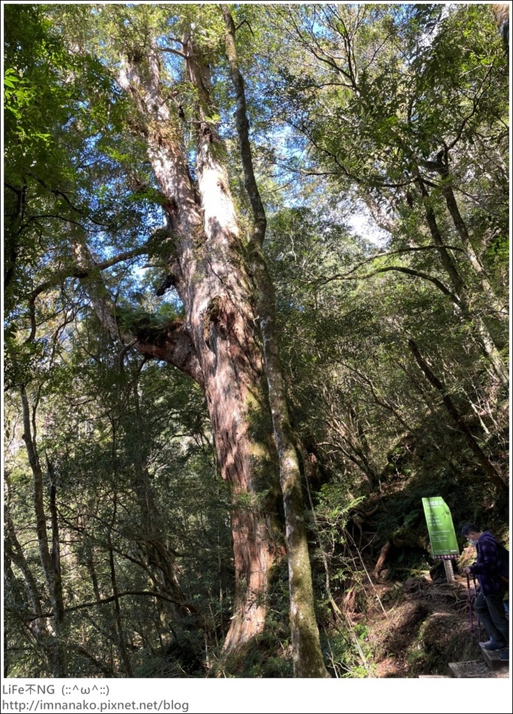 1204_211206_97.jpg 1204_211206_97.jpg