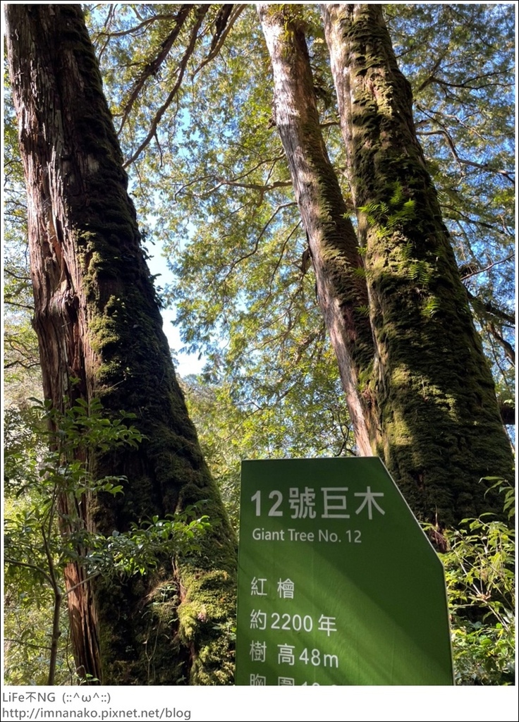 1204_211206_86.jpg 1204_211206_86.jpg