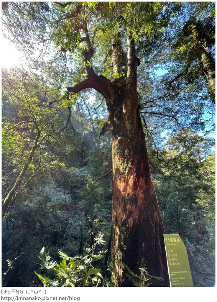 1204_211206_83.jpg 1204_211206_83.jpg