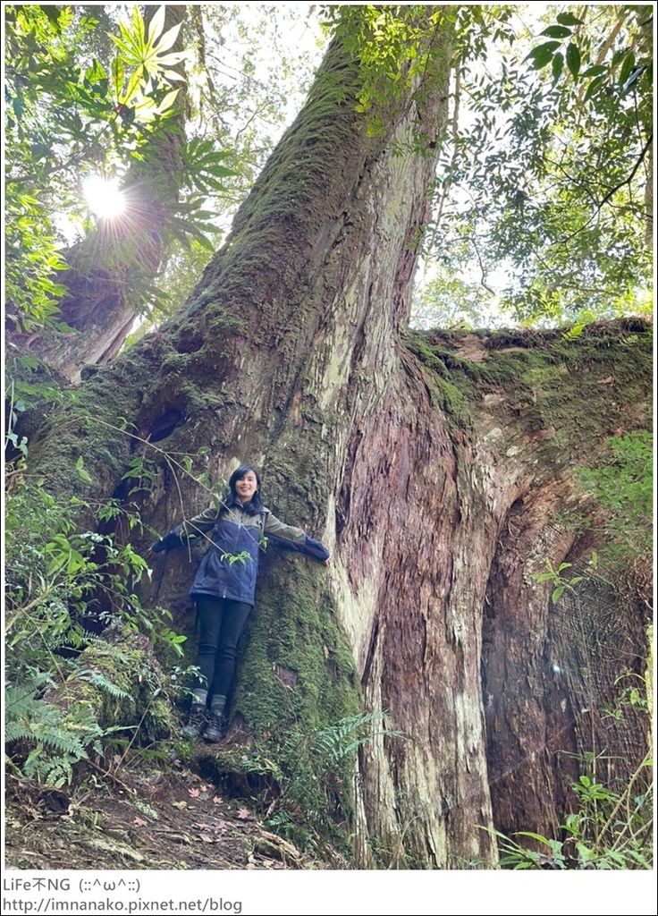 1204_211206_92.jpg 1204_211206_92.jpg