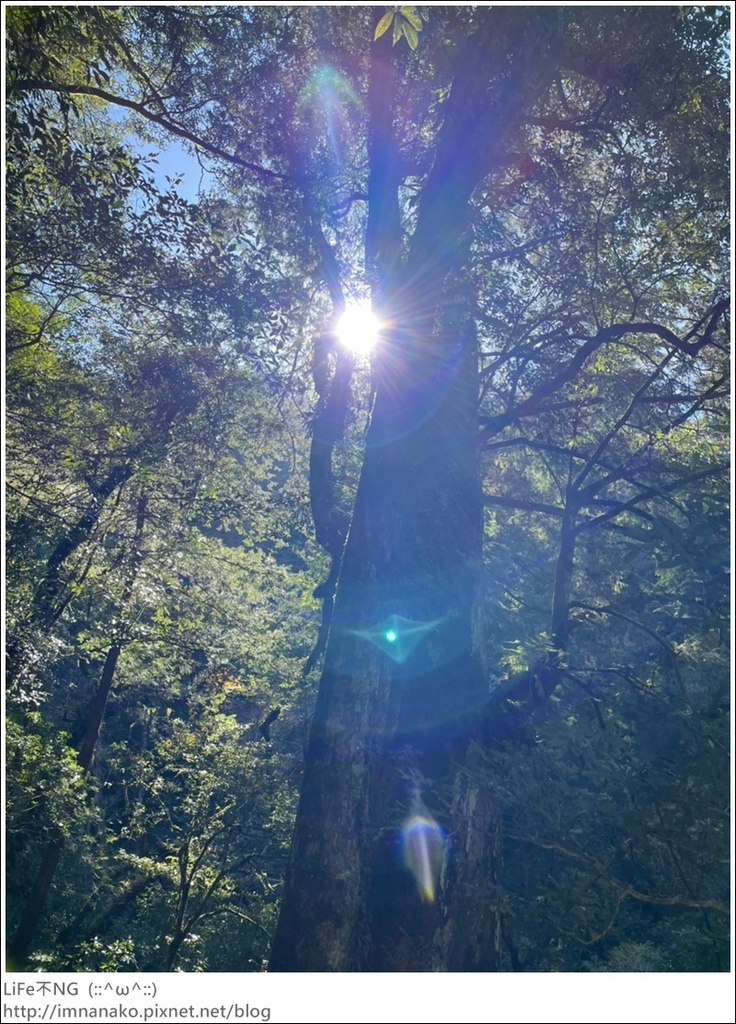 1204_211206_85.jpg 1204_211206_85.jpg