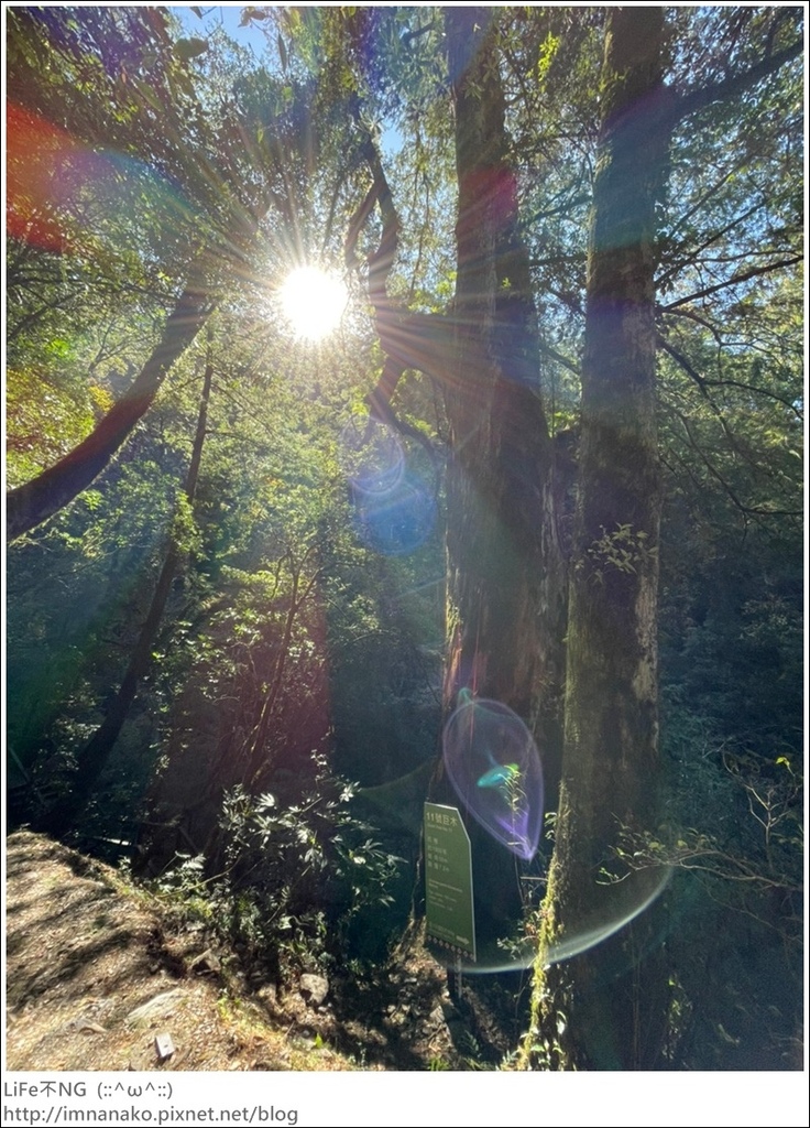 1204_211206_84.jpg 1204_211206_84.jpg